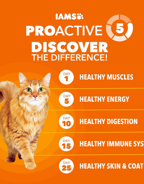 Load image into Gallery viewer, PROACTIVE HEALTH Adult Healthy Dry Cat Food with Chicken Cat Kibble, 7 Lb. Bag
