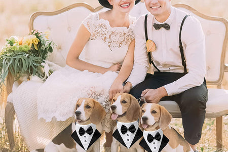 Formal Dog Tuxedo Wedding Pet Bandana Collar with Bow Tie, Adjustable Pet Bowtie Collar Bandana for Large Dog (Large)